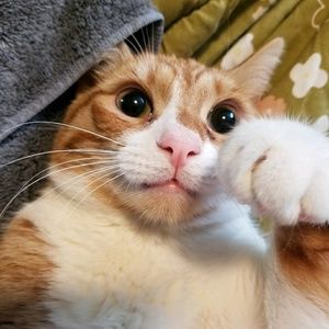 Meet your Posher, Mike